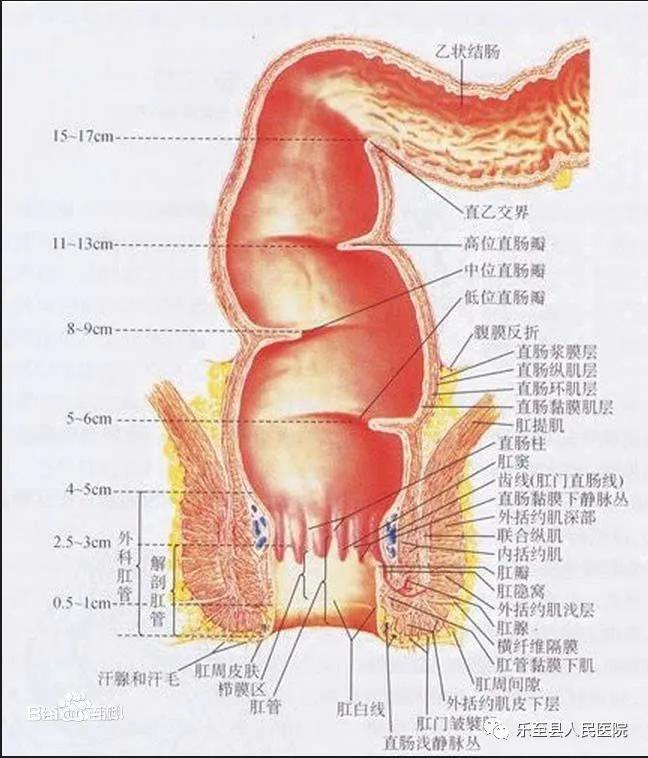 微信图片_20200609091941.jpg