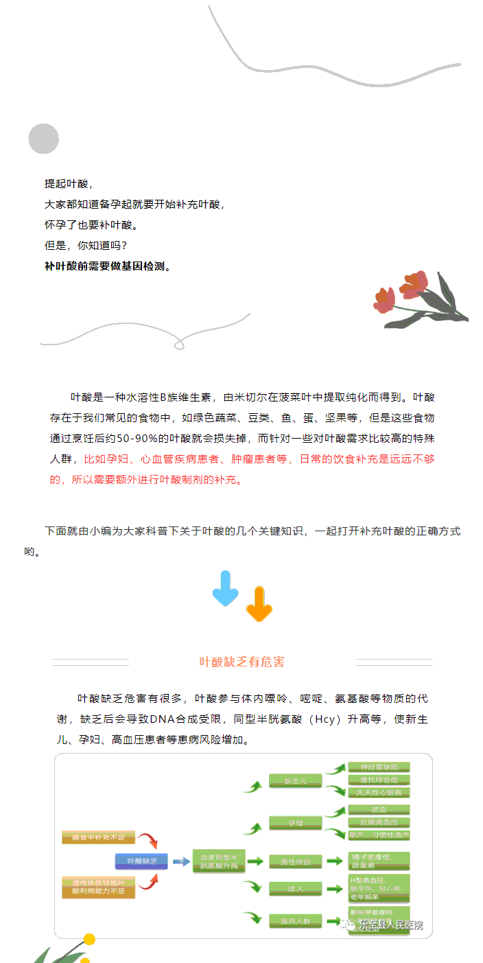 【新技术】叶酸您补对了吗——叶酸代谢能力基因检测_03.gif